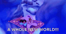 A whole new world — Aladdin GIF representing discovering Acquire.com